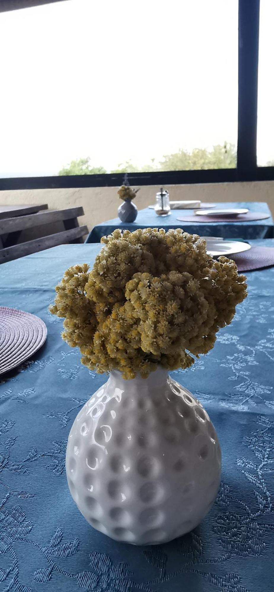 Casa Lavanda - Karin Gornji Gornji Karin Exteriör bild